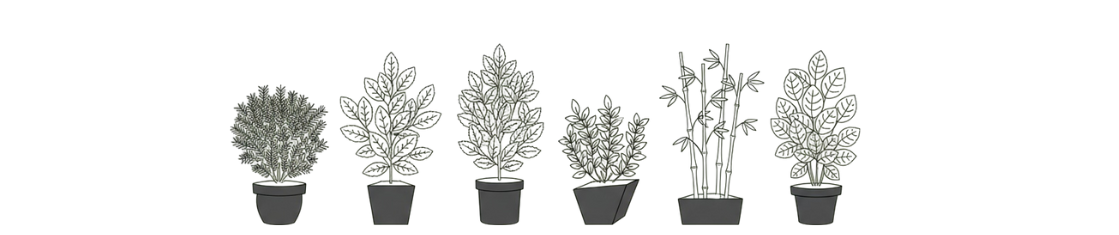 Haagplanten in pot