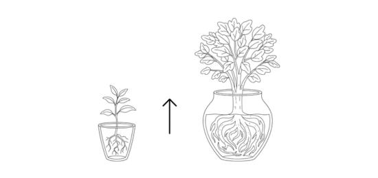 Plant hoogte meten