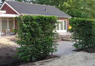 Kant-en-klare hagen in uw tuin