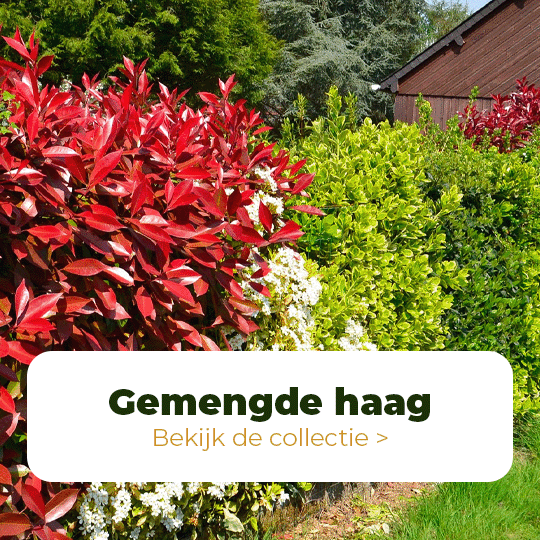 gemengde-hagen