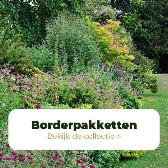 borderpakketten
