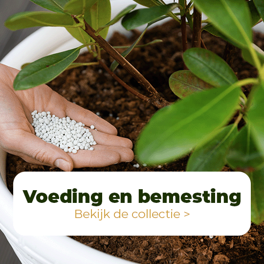 Voeding en Bemesting
